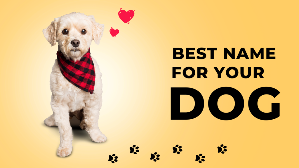 DOG Names