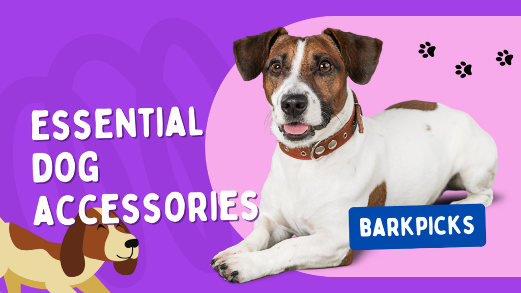 essential dog accessories
