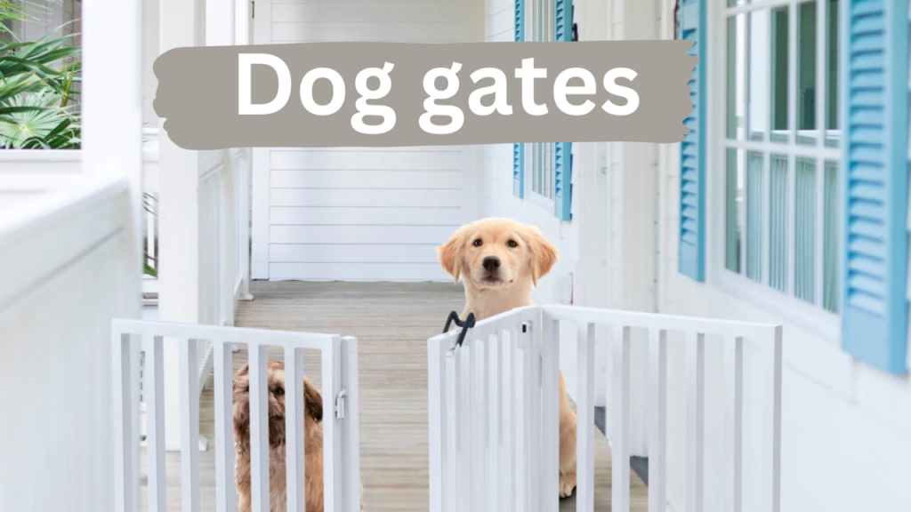 Dog Bones