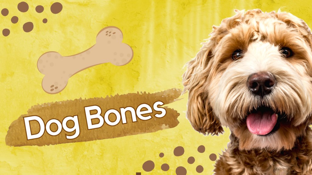 Dog Bones