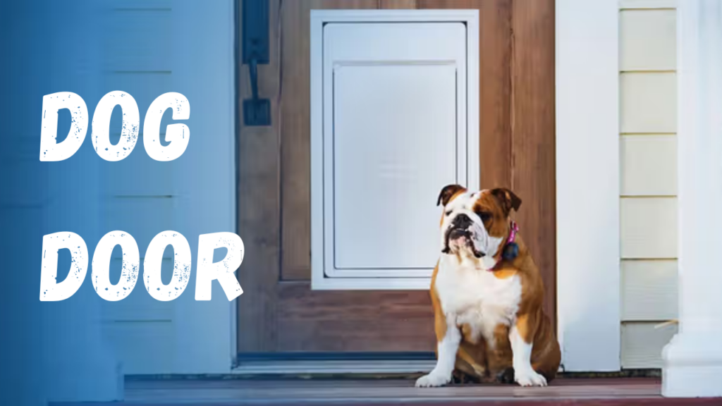 Dog Door