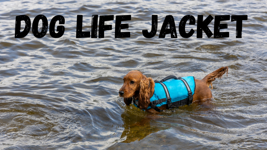 Dog Life Jacket