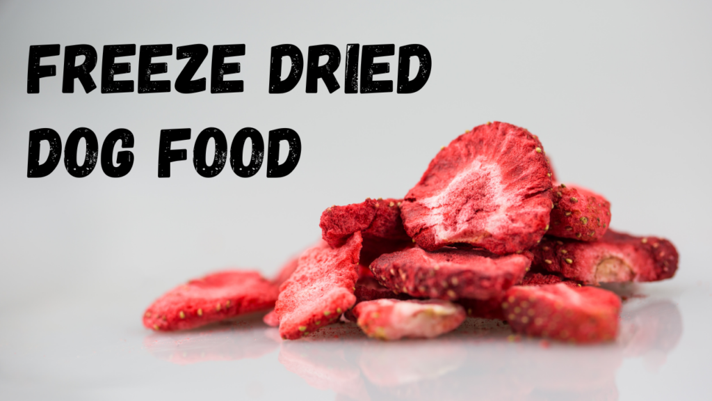 Freeze Dried Dog Food
