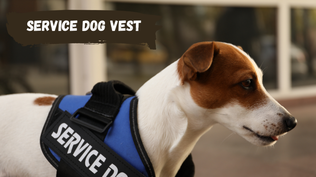 Service Dog Vest