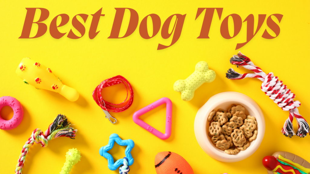 Best dog toys