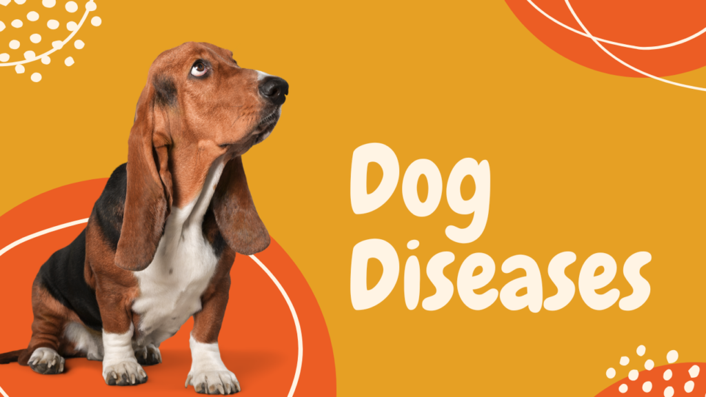 dog disease