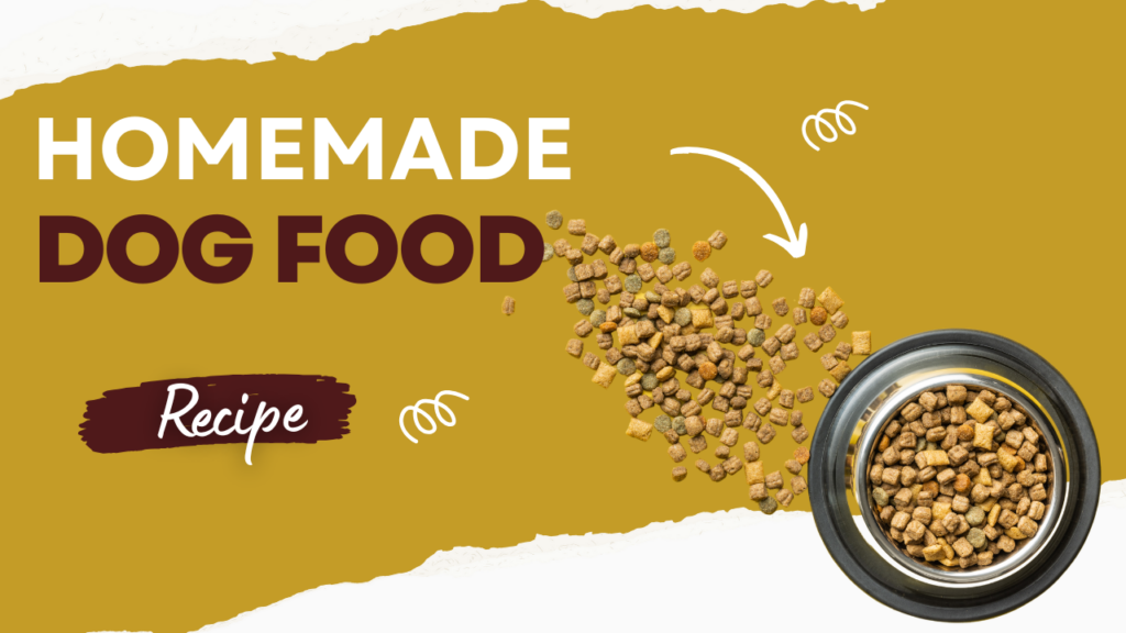 Homemade dog food recipes