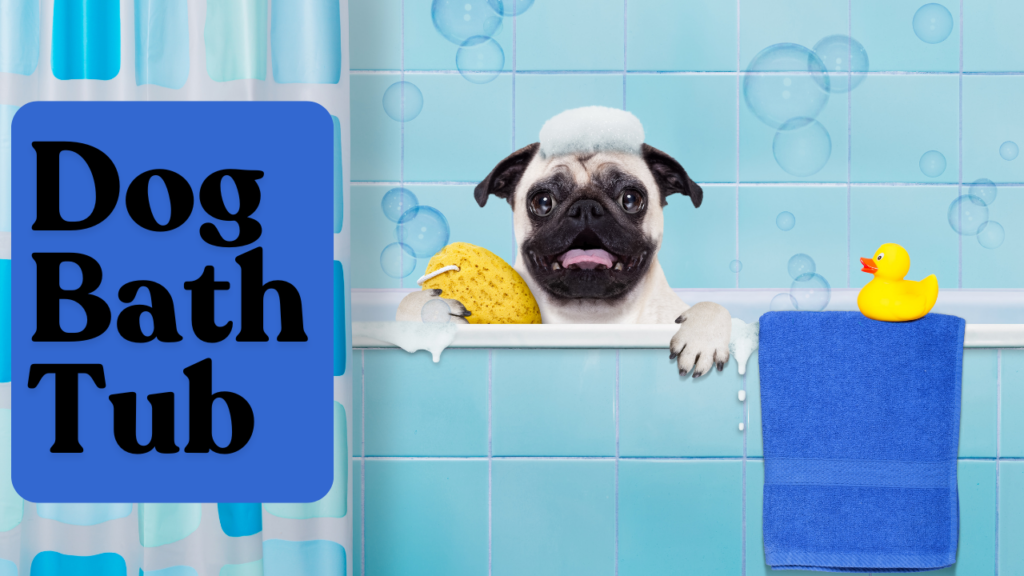 dog bath tub