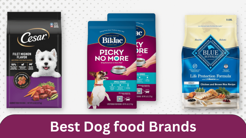 best dog food brands
