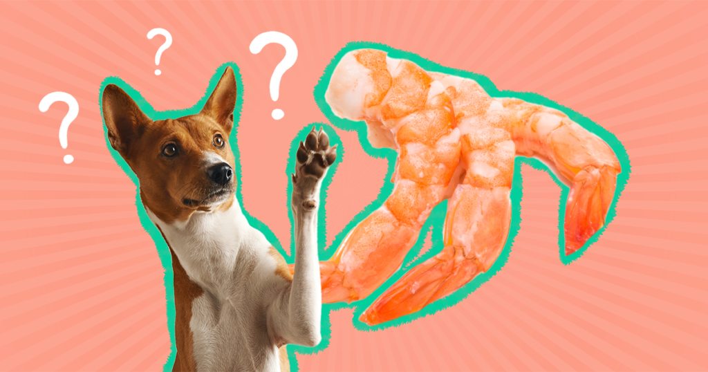 shrimp