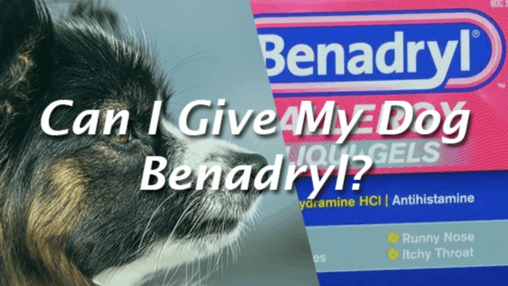 Benadryl