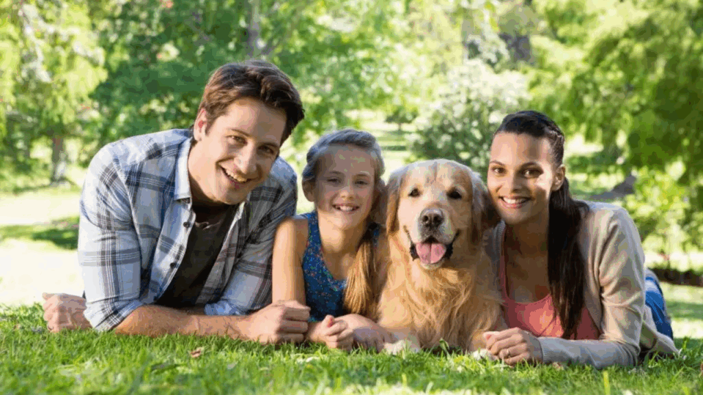 Family Dogs