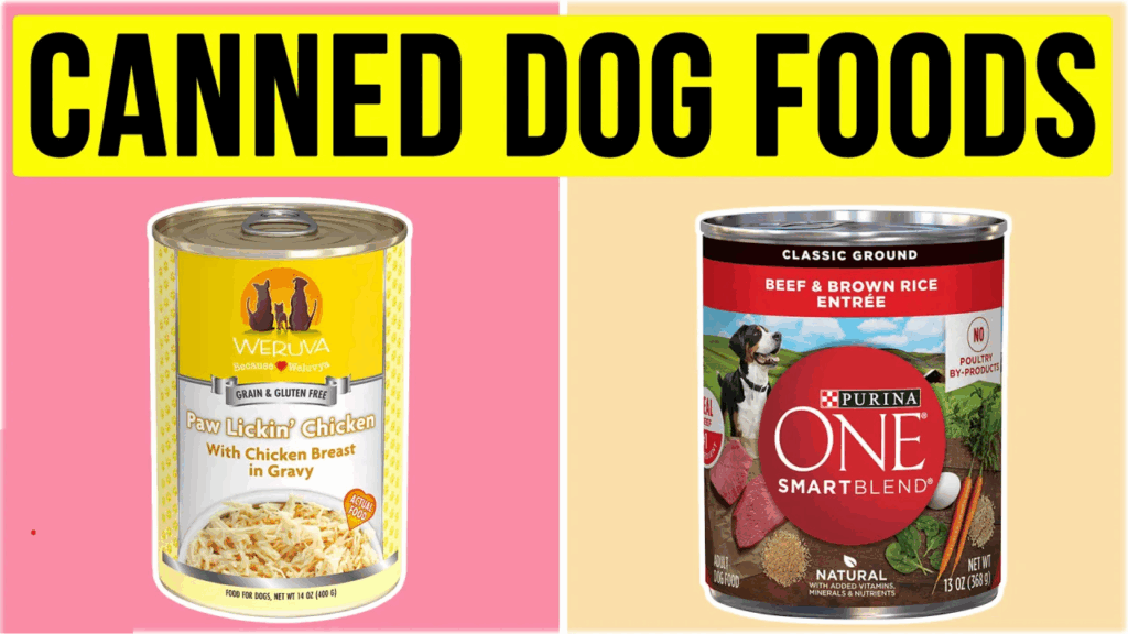 canned dog food