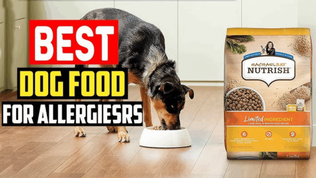 dog food for allergies