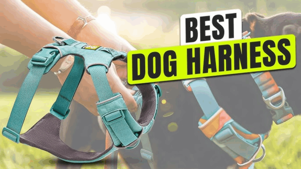 Dog Harness