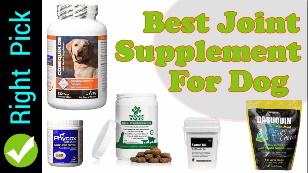 Joint Supplement